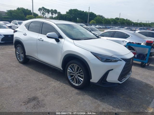 lexus nx 2023 2t2gkcezxpc010032