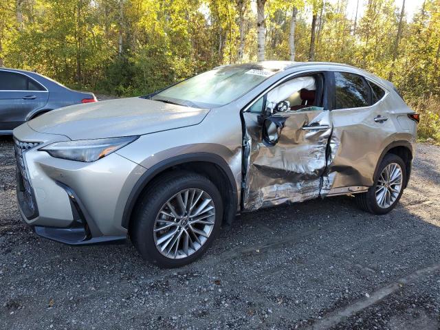 lexus nx 350h 2023 2t2gkcezxpc012007