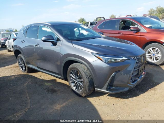 lexus nx 2024 2t2gkcezxrc016383