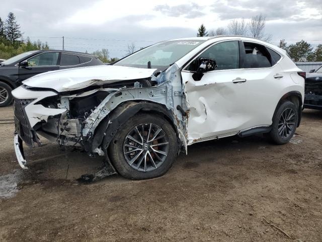 lexus nx 350h ba 2024 2t2gkcezxrc019560