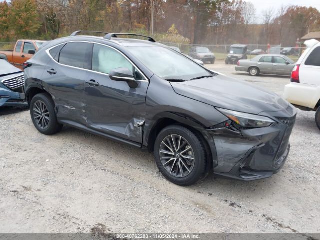 lexus nx 2024 2t2gkcezxrc024645