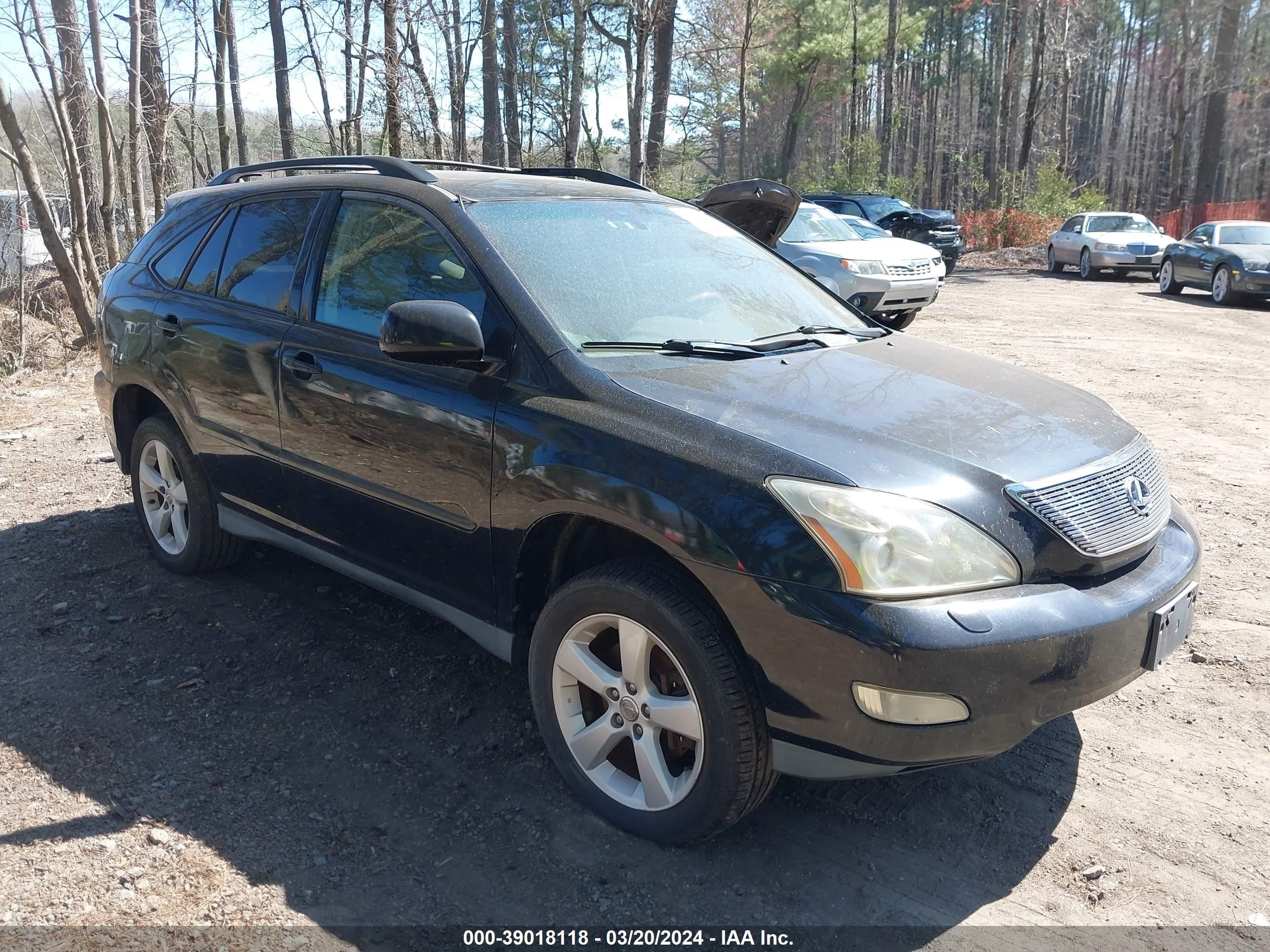 lexus rx 2004 2t2ha31u24c021216