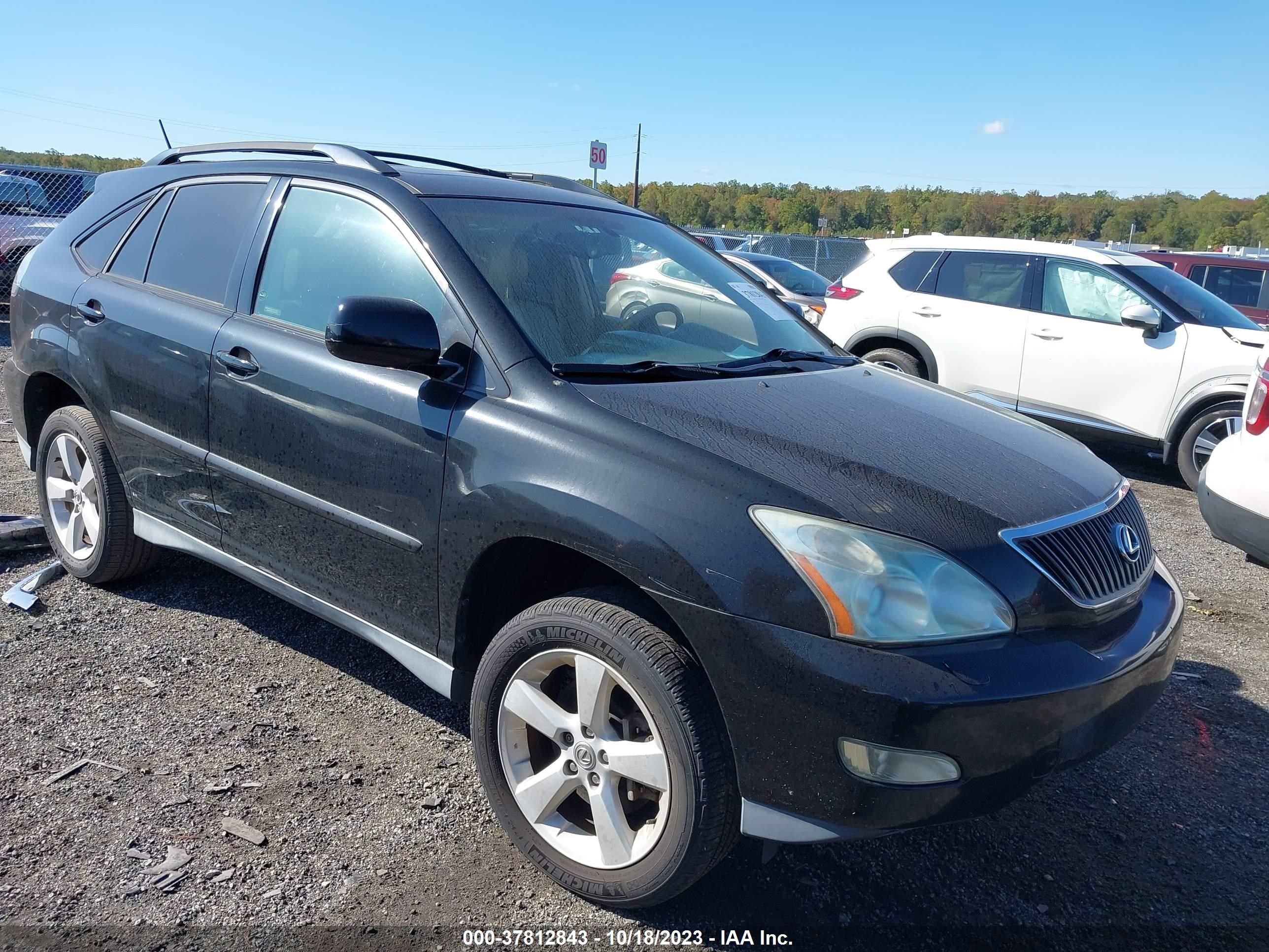 lexus rx 2004 2t2ha31u74c005562