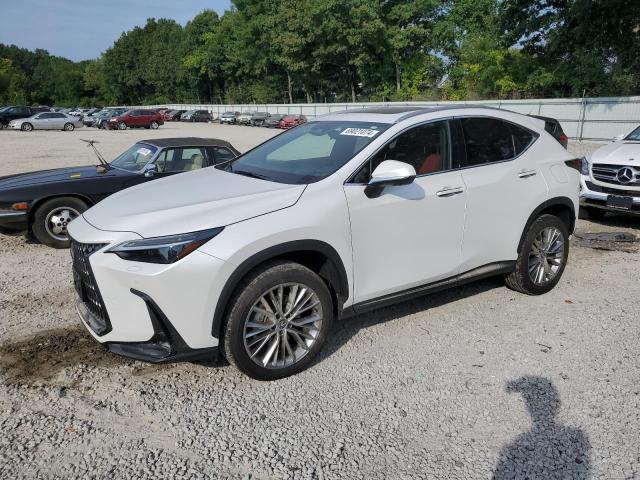 lexus nx 350 lux 2024 2t2hgcez0rc032775