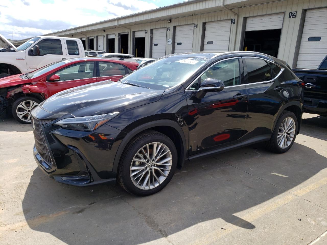 lexus  2024 2t2hgcez2rc039677