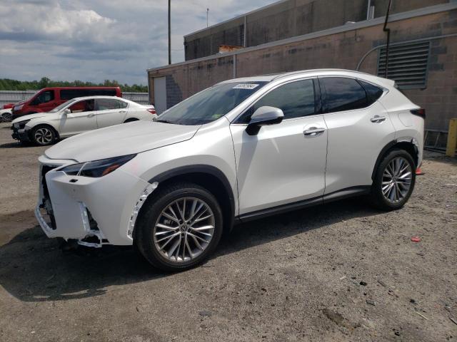 lexus nx 350 lux 2024 2t2hgcez3rc035668