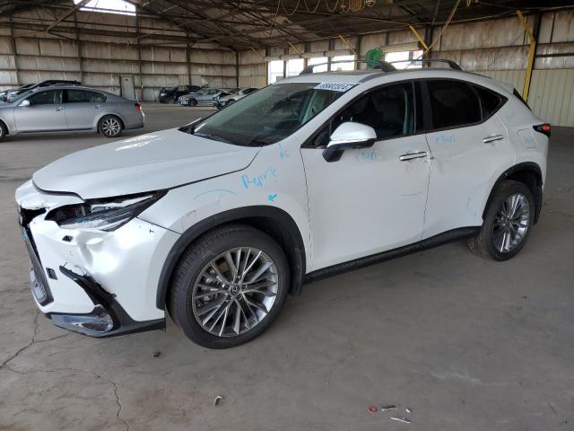 lexus nx 350 lux 2024 2t2hgcez4rc056514