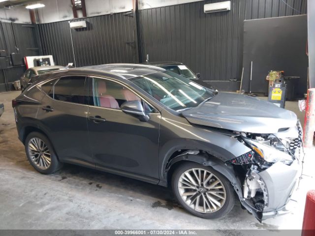 lexus nx 2024 2t2hgcez7rc055874