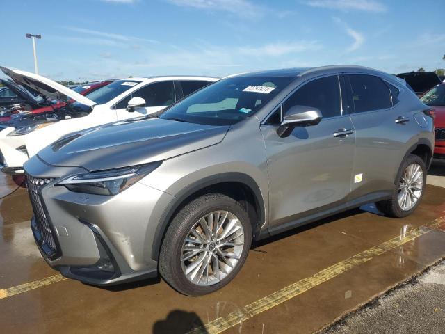 lexus nx 350 2023 2t2hgcez8pc020712