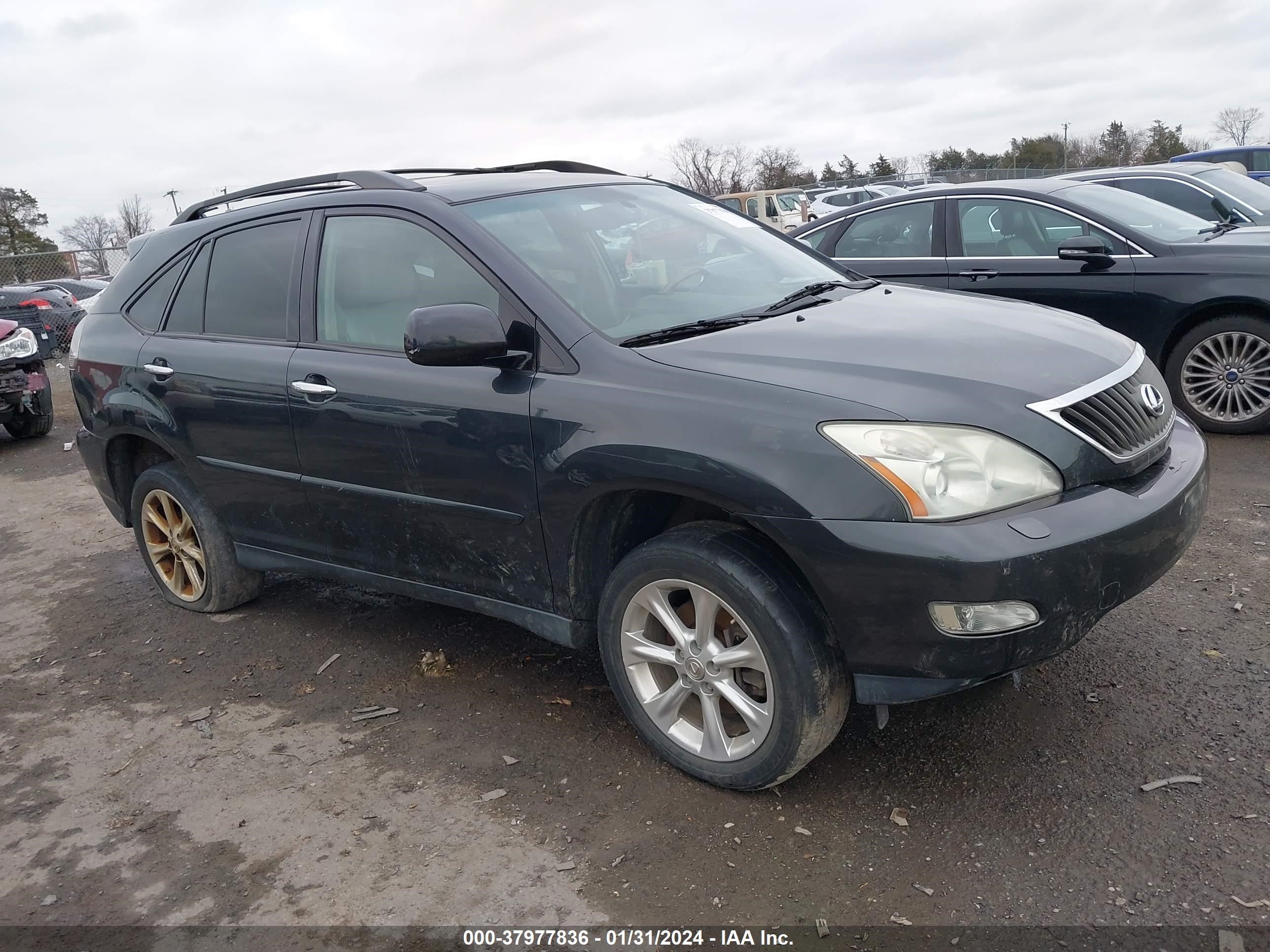 lexus rx 2009 2t2hk31u69c114812