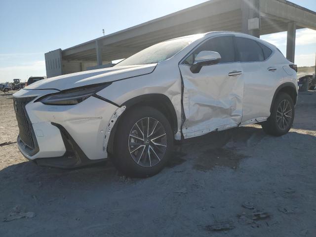 lexus nx 350h ba 2025 2t2hkcez4sc038891