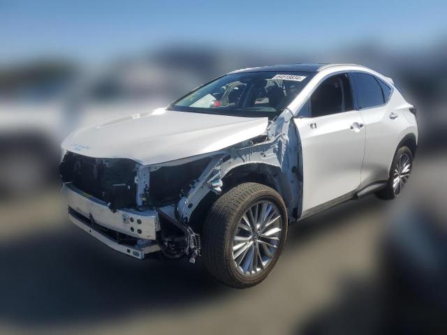 lexus nx 350h ba 2024 2t2hkcez8rc023241