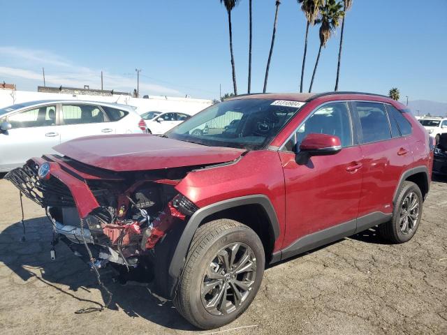 toyota rav4 xle p 2024 2t3b6rfv9rw075545