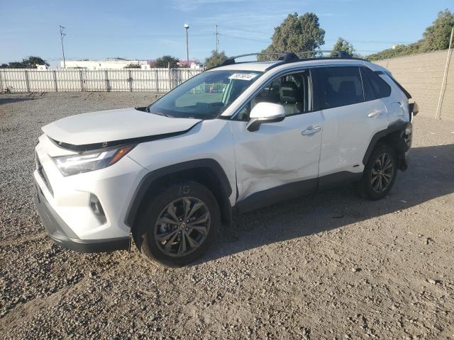 toyota rav4 xle p 2024 2t3b6rfvxrw049150