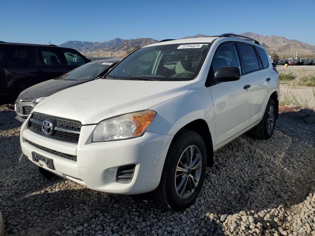 toyota rav4 2010 2t3bf4dv6aw064111