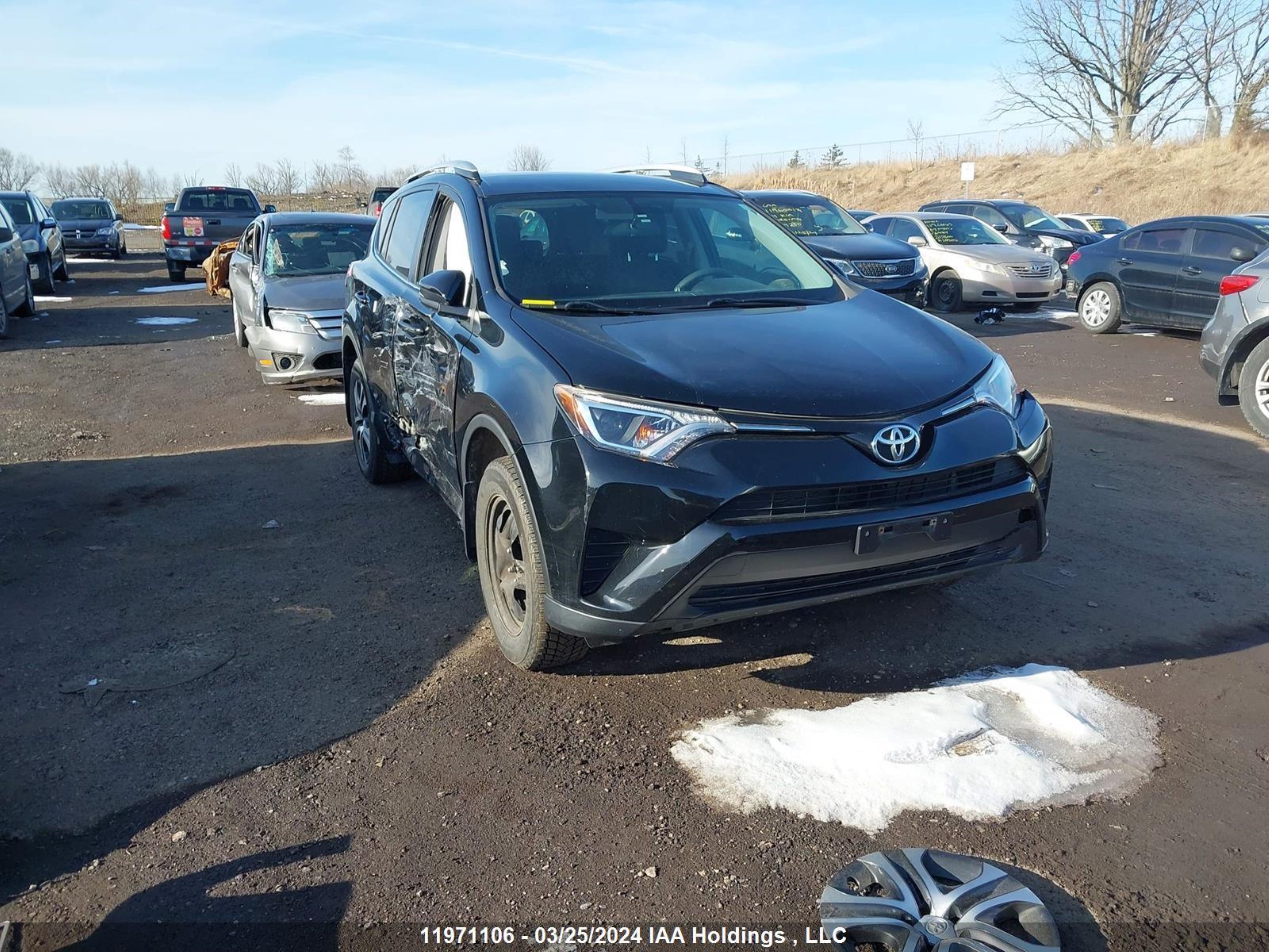 toyota rav 4 2016 2t3bfrev7gw456339