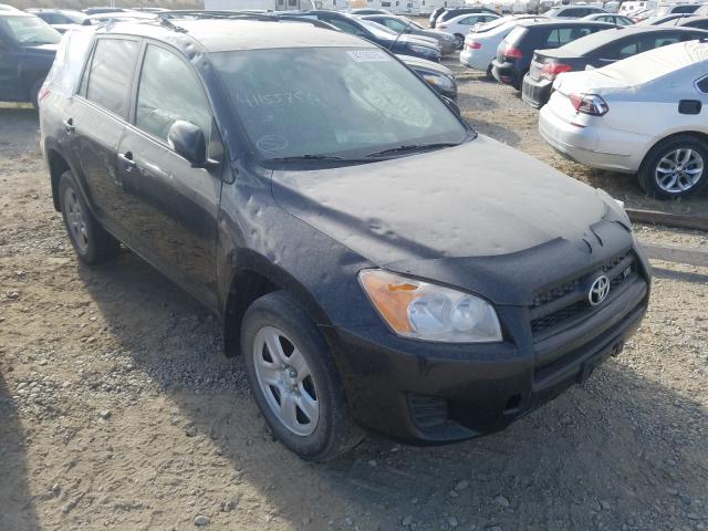 toyota rav4 2010 2t3bk4dv4aw029689