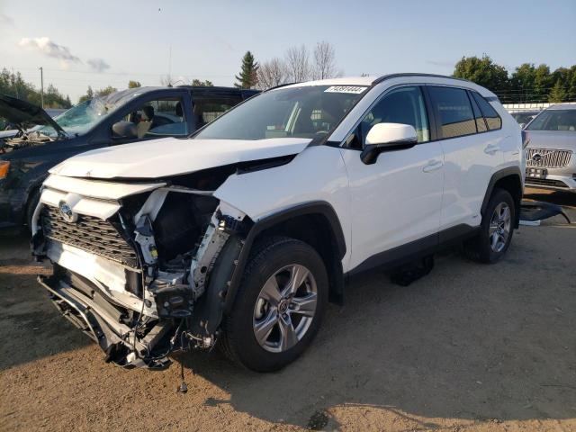 toyota rav4 le 2023 2t3bwrfv6pw162834