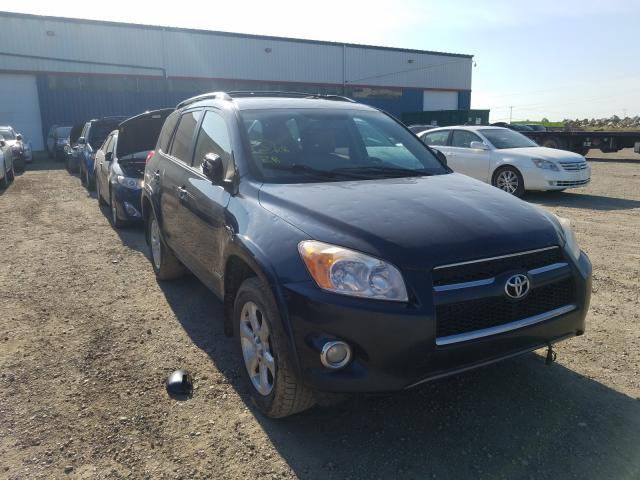 toyota rav4 limit 2010 2t3df4dv5aw062679