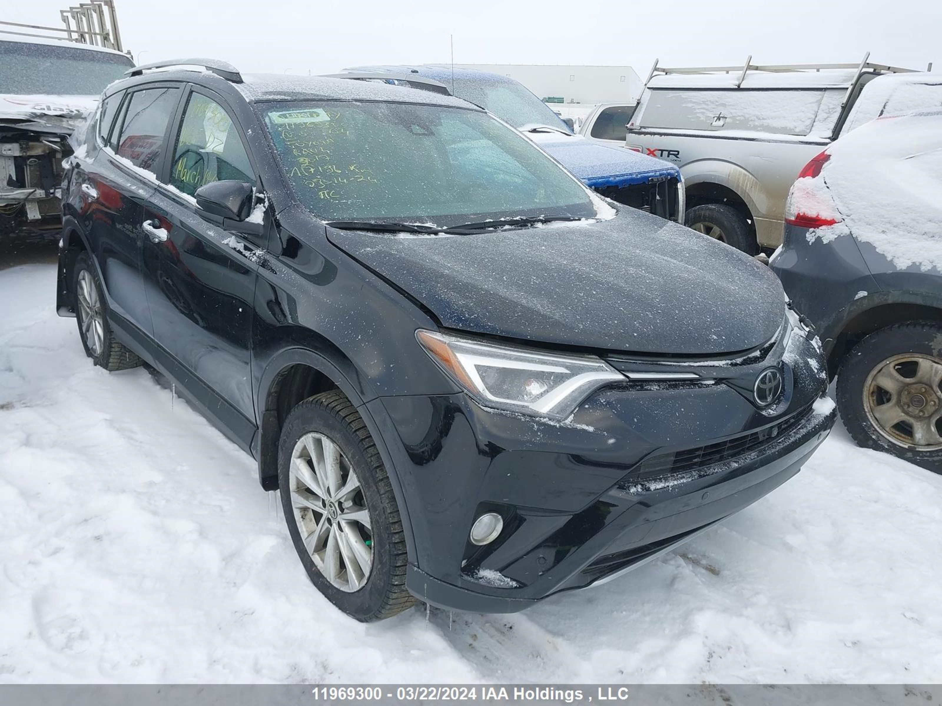 toyota rav 4 2017 2t3dfrev7hw573154