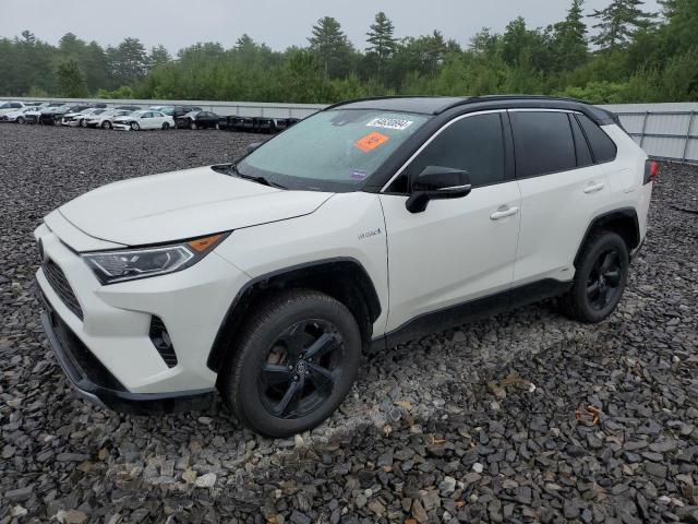 toyota rav4 xse 2019 2t3ewrfv2kw033995