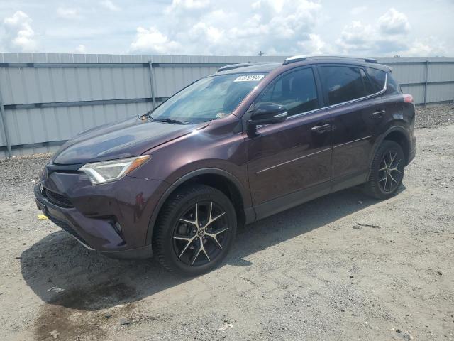 toyota rav4 2017 2t3jfrev5hw672736