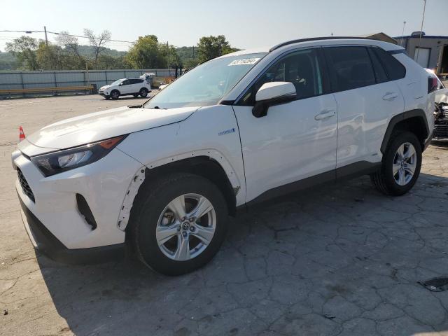 toyota rav4 le 2019 2t3mwrfvxkw024005