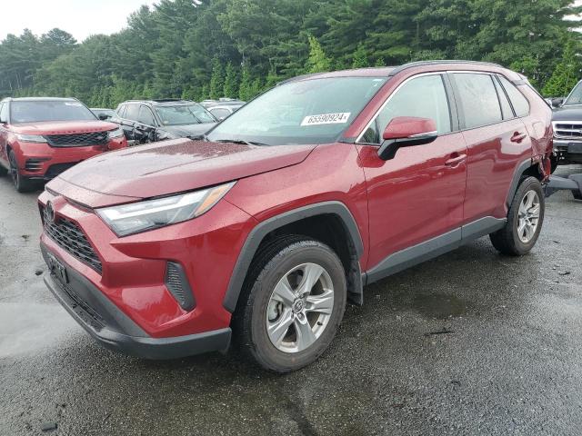 toyota rav4 xle 2024 2t3p1rfv0rw411121