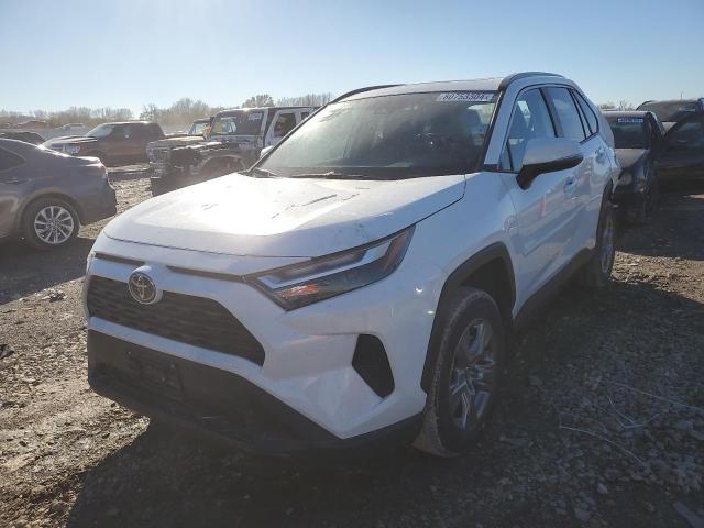 toyota rav4 xle 2024 2t3p1rfv1rc410982