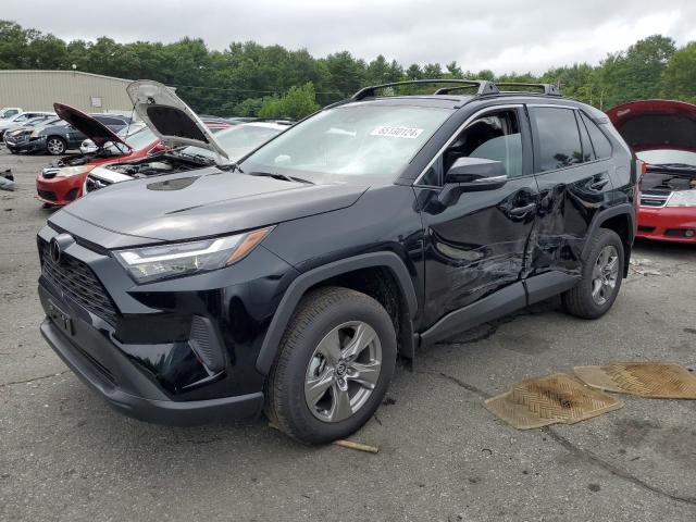 toyota rav4 xle 2024 2t3p1rfv6rc454475