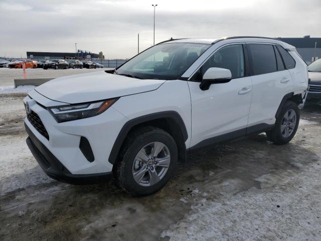 toyota rav4 xle 2023 2t3rwrfv0pw180518