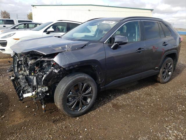 toyota rav4 xle 2023 2t3rwrfv2pw158178