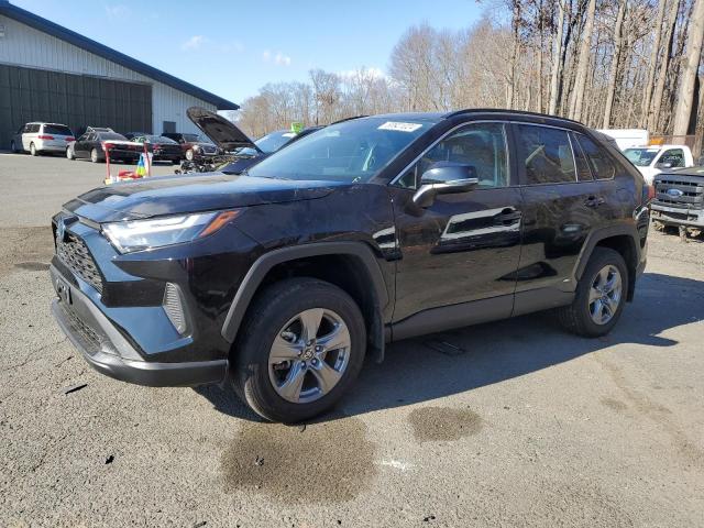 toyota rav4 xle 2024 2t3rwrfv2rw201226