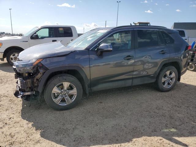 toyota rav4 2023 2t3rwrfv6pw173296