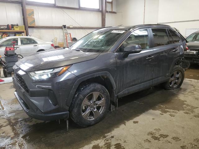 toyota rav4 xle 2023 2t3rwrfv7pw165319