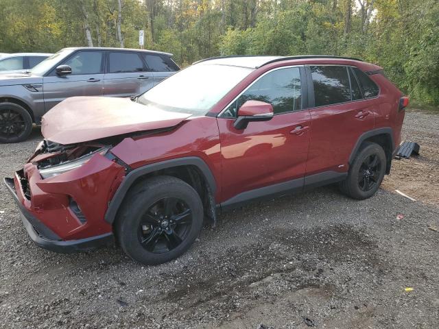 toyota rav4 xle 2020 2t3rwrfvxlw047100