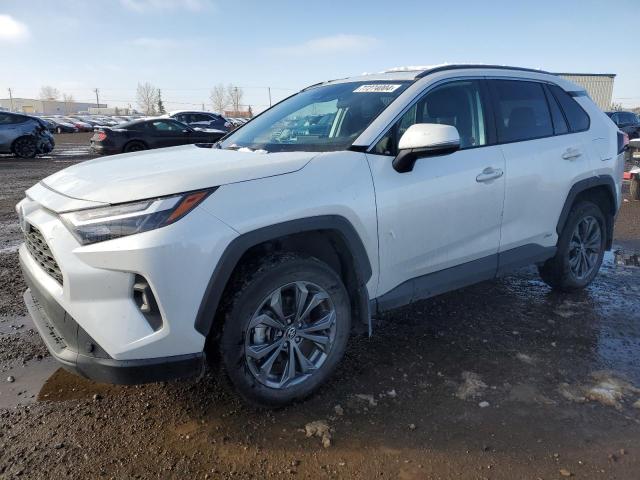 toyota rav4 xle 2023 2t3rwrfvxpw157764