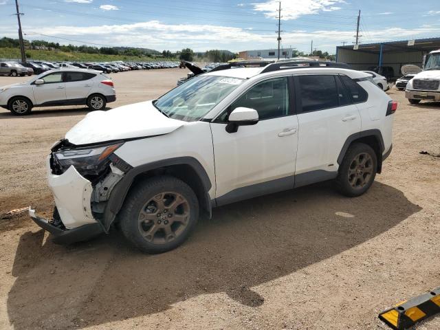 toyota rav4 woodl 2023 2t3uwrfv0pw151482