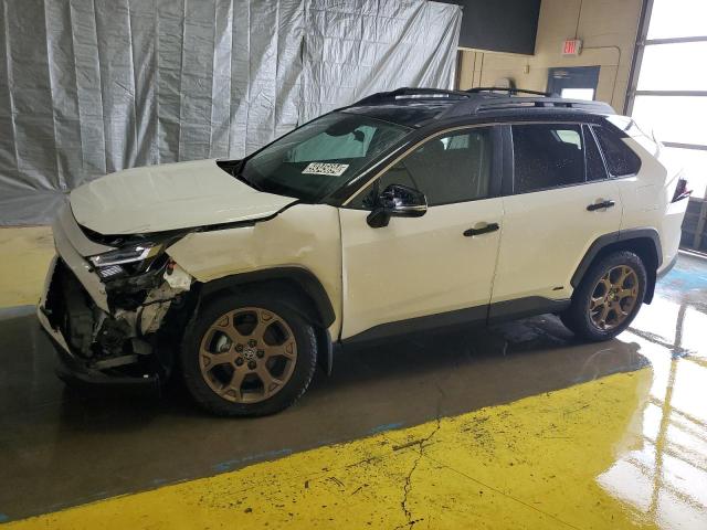 toyota rav4 woodl 2024 2t3uwrfv1rw217203