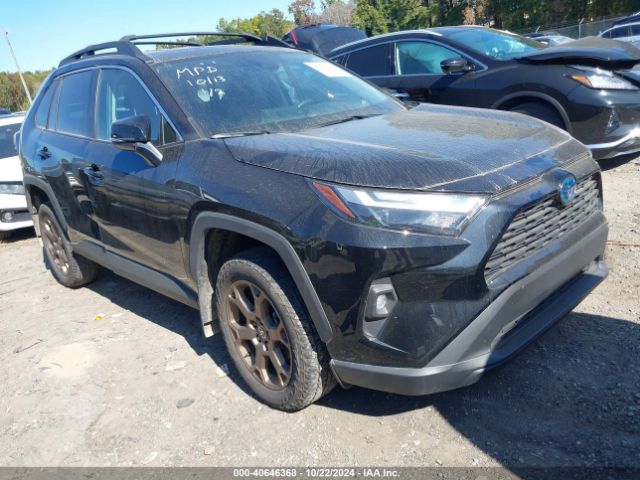 toyota rav4 2023 2t3uwrfv2pw162662