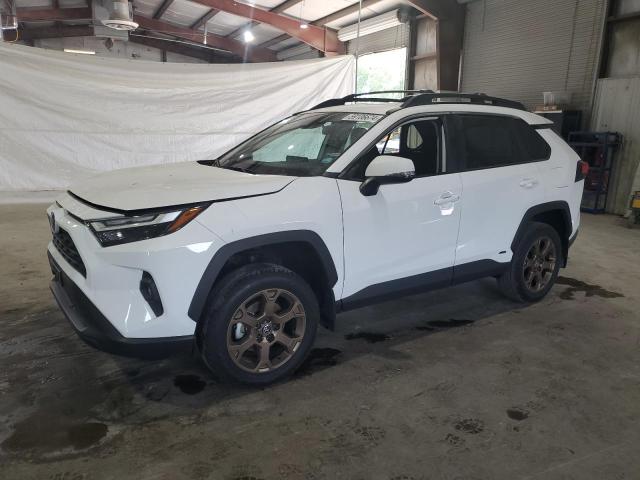 toyota rav4 woodl 2023 2t3uwrfv2pw177078