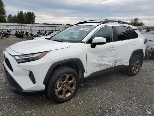 toyota rav4 woodl 2023 2t3uwrfv4pw156765