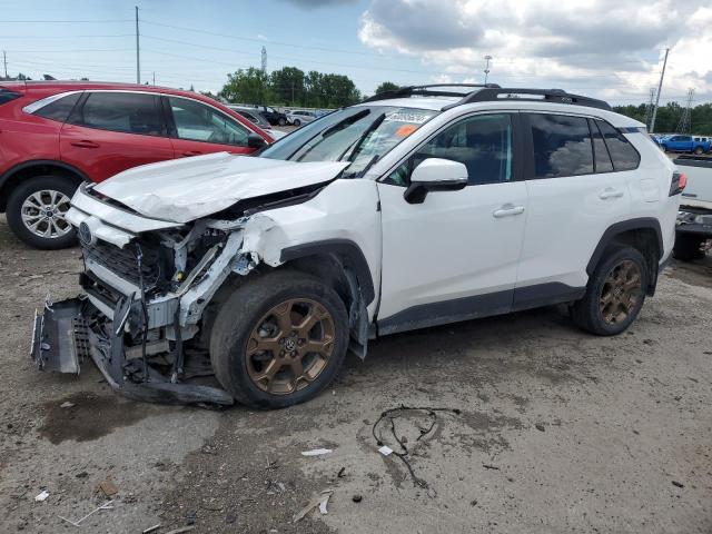 toyota rav4 woodl 2023 2t3uwrfv5pw171064