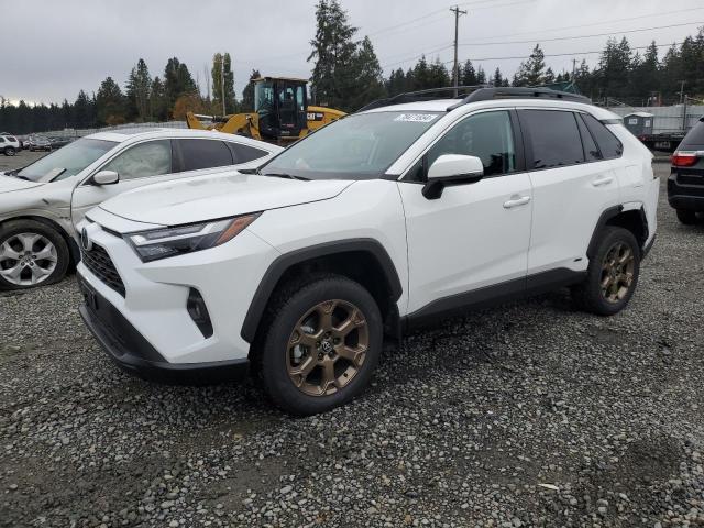 toyota rav4 woodl 2023 2t3uwrfv6pw158551