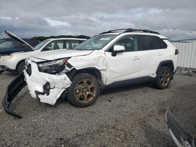 toyota rav4 woodl 2023 2t3uwrfv8pw158518