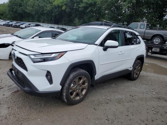 toyota rav4 woodl 2023 2t3uwrfv9pw157426