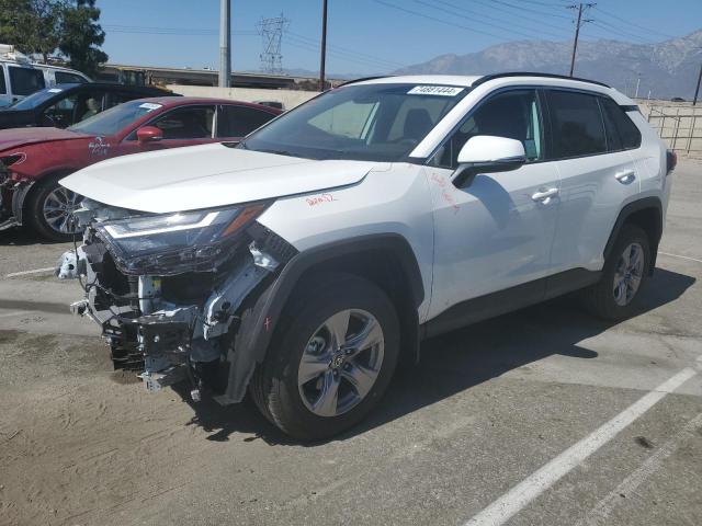 toyota rav4 xle 2024 2t3w1rfv2rc287026