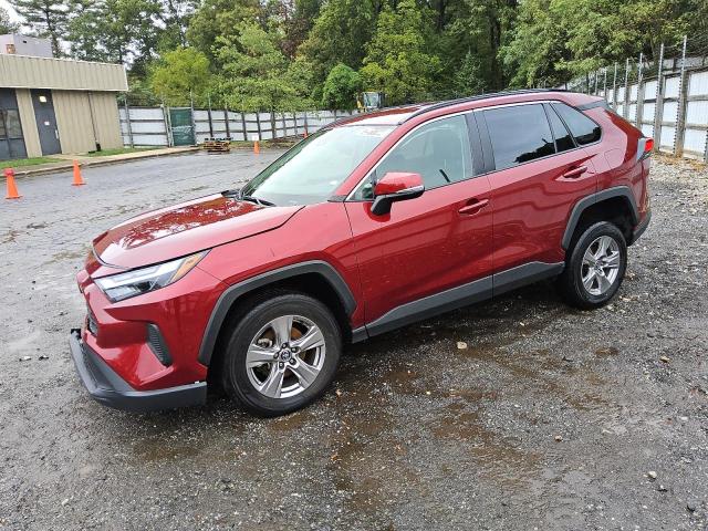 toyota rav4 xle 2023 2t3w1rfv5pw273665