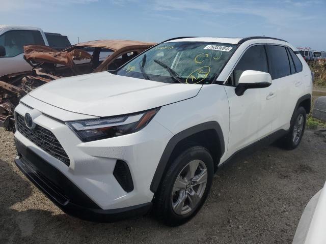 toyota rav4 xle 2023 2t3w1rfv5pw293835