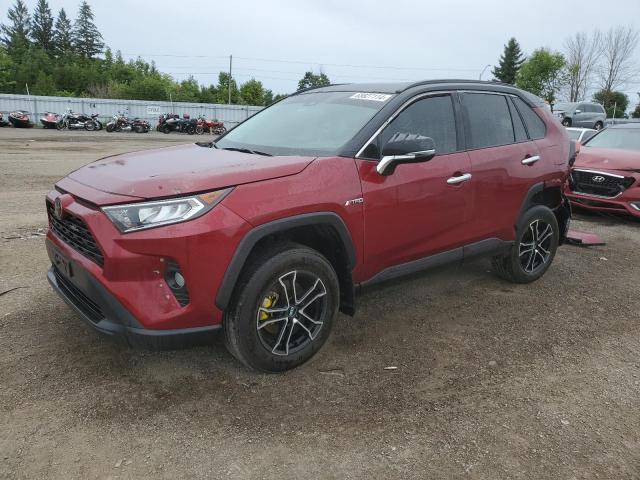 toyota rav4 xle 2019 2t3w1rfvxkw032547